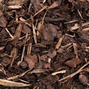 pine bark mulch