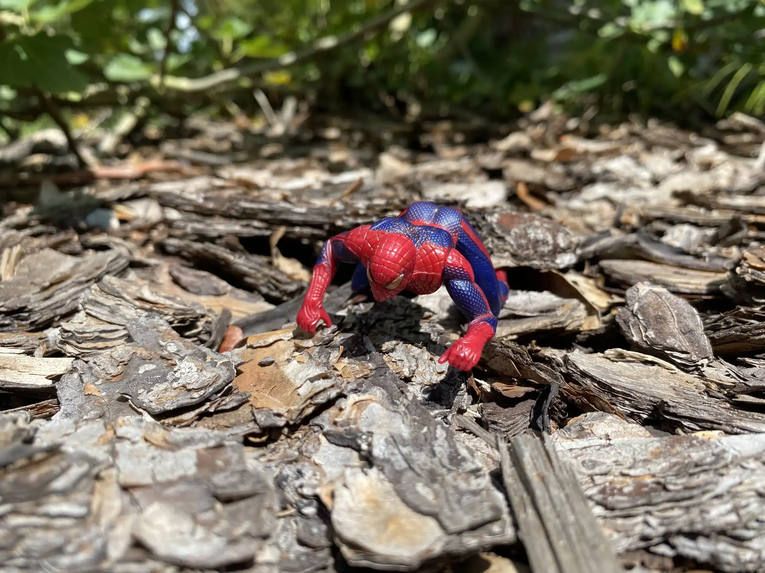 Spiderman crawling through mulch